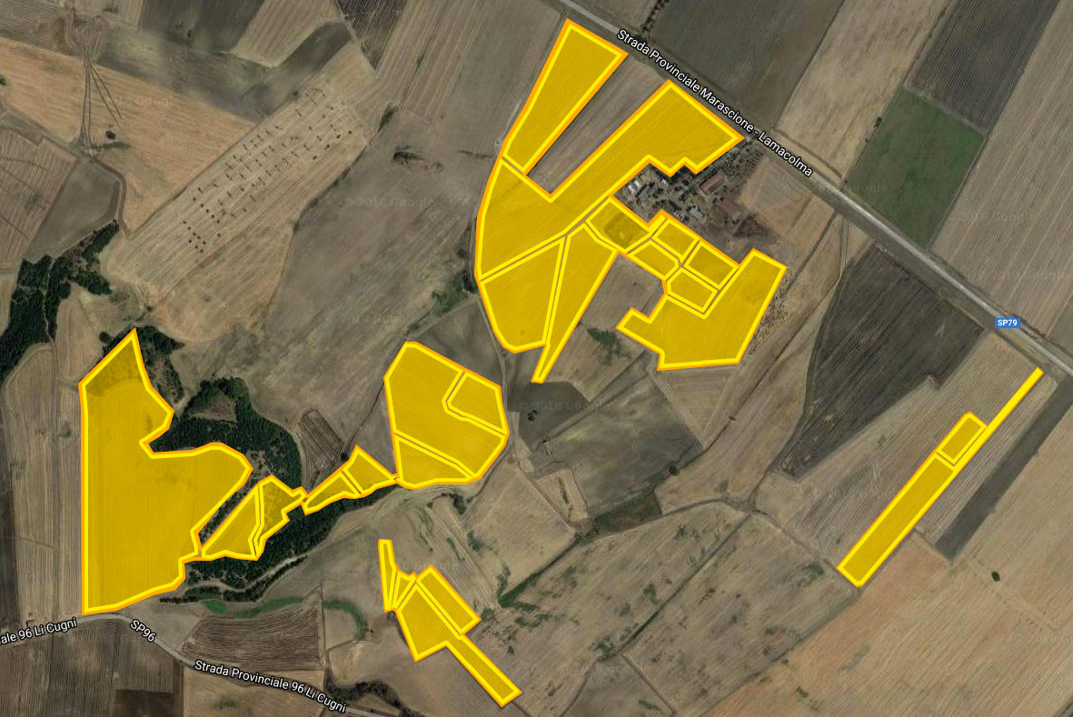 mappa degli appezzamenti - terra&grano