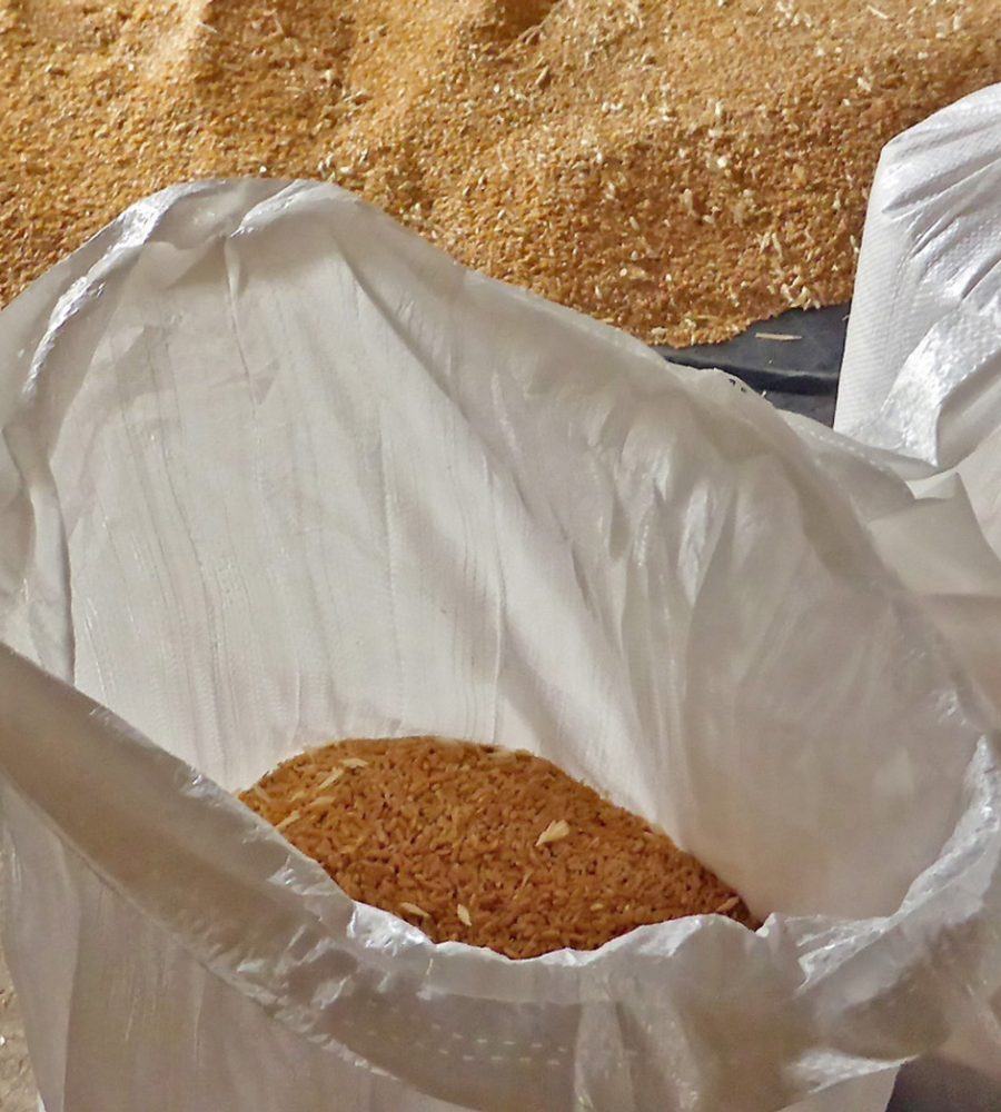 sacchi-di-grano-3-crop